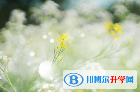 2020年麗江沒有學籍可以參加中考嗎