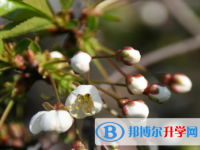2020年麗江今年中考時間是幾號