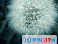 2020年麗江怎么寫中考自薦書