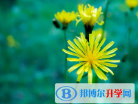2020年麗江中考200多的哪些學校要