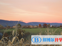2020年麗江中考報名自薦信怎么寫
