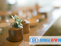 2020年麗江中考后可以上什么學校