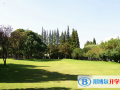 上海中學國際部2023年招生計劃