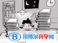 2020年思茅怎樣從網(wǎng)上查詢中考成績