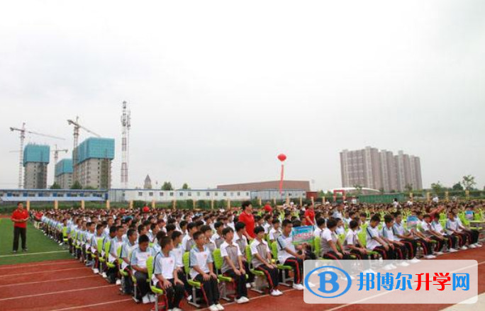 石家莊第十七中學國際班網站網址 