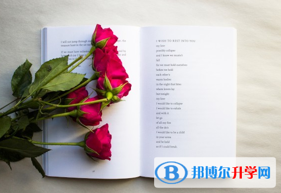 2020年思茅中考成績查詢系