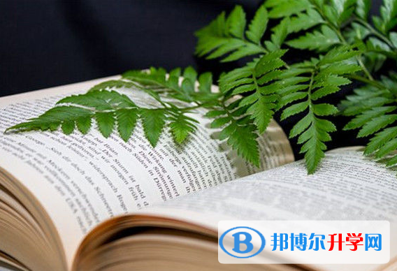 2020年思茅中考查詢系統