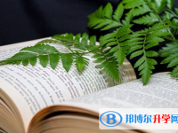 2020年思茅中考查詢系統