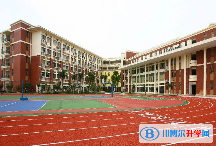 廣東碧桂園IB國際學校網站網址 