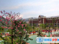 佛山外國(guó)語(yǔ)學(xué)校國(guó)際部2023年學(xué)費(fèi)、收費(fèi)多少