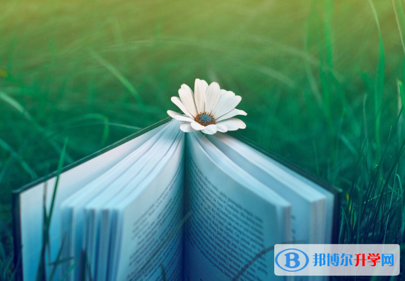 2020年思茅考起重高的人數