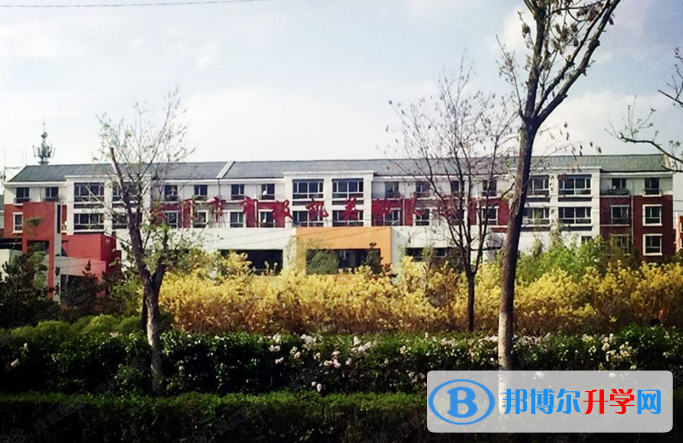 北京青苗國際雙語學校網站網址 