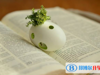2020年思茅中考服務平臺