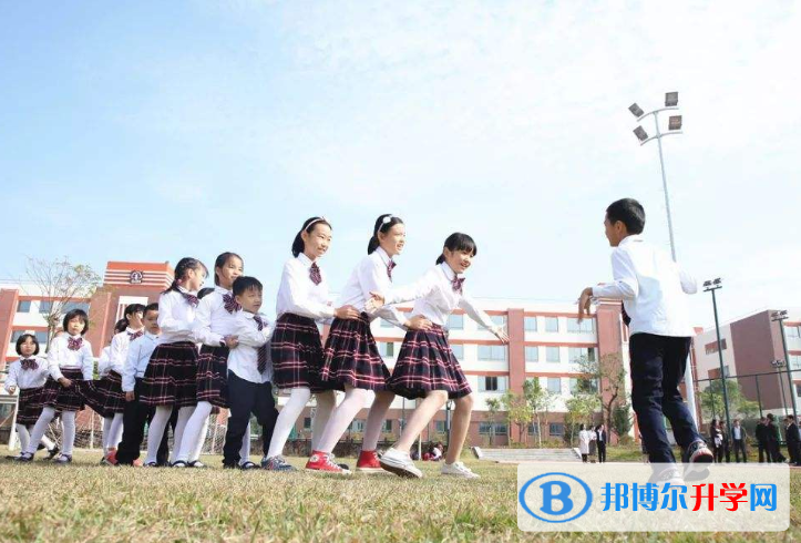 深圳珊蒂泉外國語學校網站網址 
