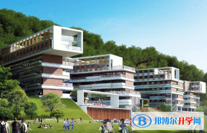 深圳桃源居中澳實驗學(xué)校2023年學(xué)費、收費多少