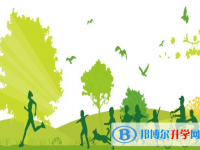 2020年臨滄中考考點有哪幾個