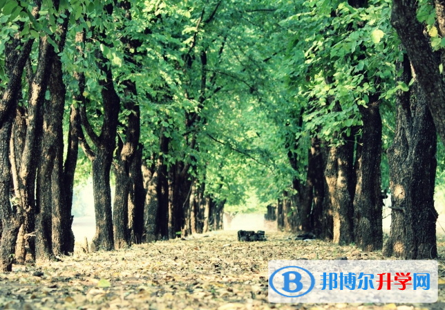  2020年臨滄中考錄取查詢(xún)?nèi)肟? width=