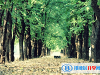 2020年臨滄中考錄取查詢?nèi)肟? /><b>2020年臨滄中考錄取查詢?nèi)肟?/b><span>2020-09-10 10:20</span><p>同學都知道中考是一場重大的考試，從中考備考的復習到中考志愿填報被錄取中間有很多個過程，每一步都不容大家忽視，并且要按照當</p></a></h3></li>
<li><h3><a href=