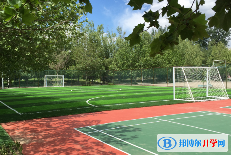 北京中關(guān)村國際學(xué)校2023年招生簡章