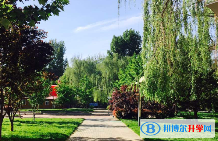 北京中關(guān)村國(guó)際學(xué)校網(wǎng)站網(wǎng)址 