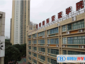 深圳國(guó)際交流學(xué)院網(wǎng)站網(wǎng)址