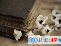 2020年臨滄中考網(wǎng)絡(luò)服務(wù)平臺(tái)