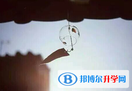 2020年臨滄中考網登錄