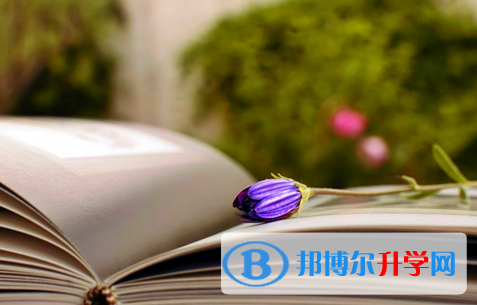  2020年臨滄中考填志愿的網站