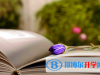 2020年臨滄中考填志愿的網站
