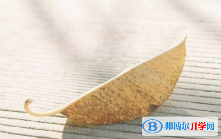  2020年臨滄中考網上查詢