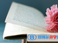 2020年臨滄中考網上報考信息平臺