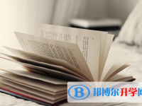 2020年臨滄中考網絡應用平臺
