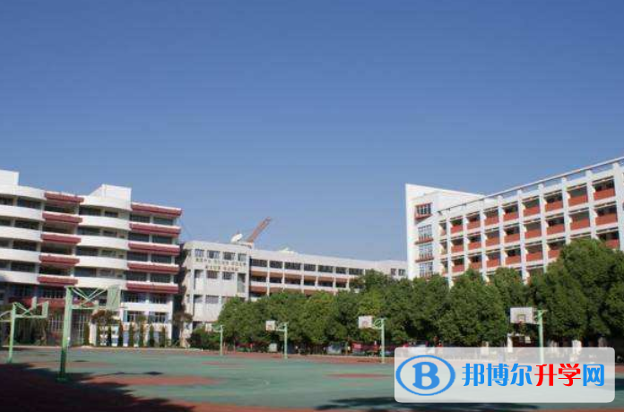 北京第八十中學(xué)國際部2023年學(xué)費(fèi)、收費(fèi)多少