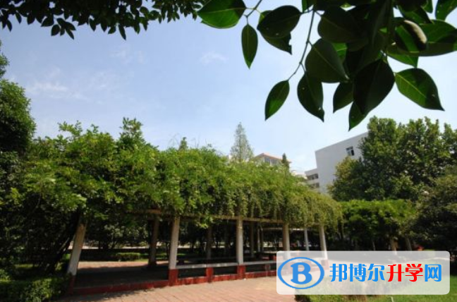廣州英國國際學校網站網址 