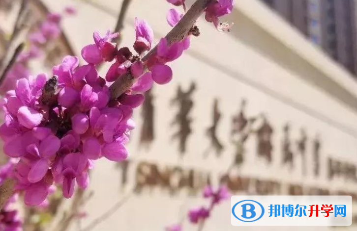 清華大學(xué)附屬中學(xué)國際部怎么樣、好不好