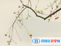 2021年臨滄中考自主招生考試學(xué)校
