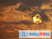 2021年臨滄中考自主招生報名