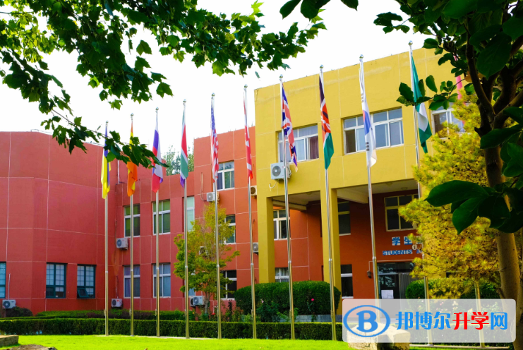 北京私立樹人學校瑞貝學校怎么樣、好不好