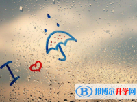 2021年楚雄中考后計劃