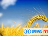 2021年寶雞怎樣查詢中考成績(jī)