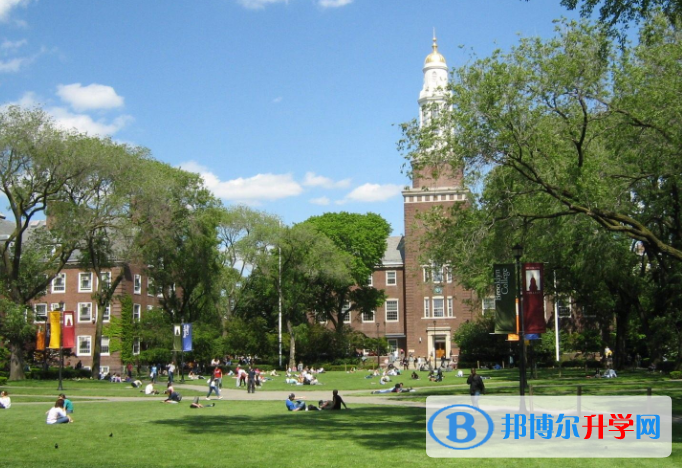北京一零一中學國際部網站網址