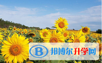 2021年寶雞中考成績查詢?nèi)肟? width=