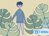 2021年楚雄中考應對策略