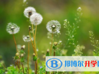 2021年寶雞中考成績(jī)查詢系統(tǒng)