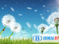 2021年寶雞中考成績(jī)公布時(shí)間