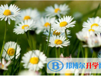 2021年寶雞中考成績(jī)?nèi)绾尾樵? /><b>2021年寶雞中考成績(jī)?nèi)绾尾樵?/b><span>2020-09-23 16:14</span><p>人總是在經(jīng)過(guò)千錘百煉之后變得強(qiáng)大，所有在中考前大家也是經(jīng)過(guò)了備考的幾次模擬考試來(lái)鍛煉了膽量。中考是人生的必須選擇，那么為</p></a></h3></li>
<li><h3><a href=