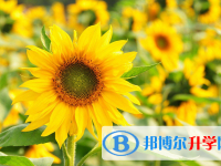 2021年寶雞中考成績(jī)什么時(shí)候出來(lái)