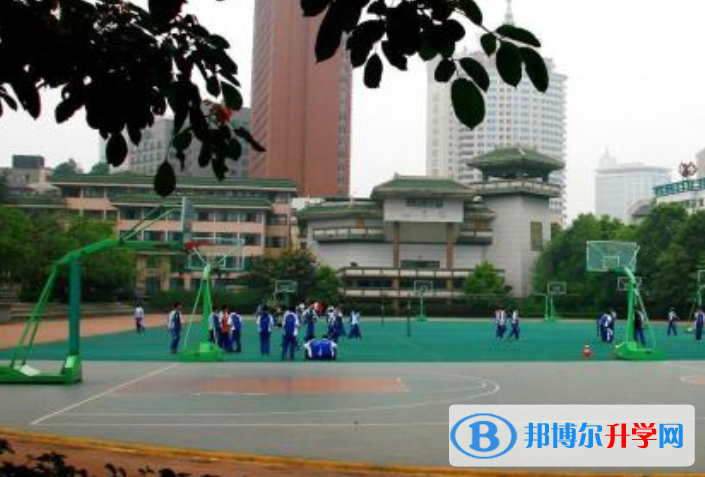 成都石室中學國際部網站網址 