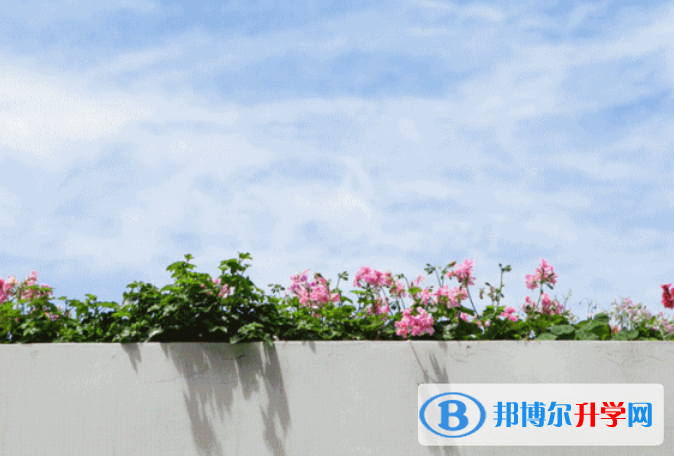 成都七中嘉祥外國語學校國際部怎么樣、好不好