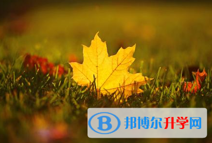 2021年楚雄中考需要準備什么